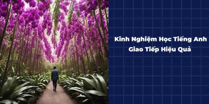 Kinh-Nghiem-Hoc-Tieng-Anh-Giao-Tiep-Hieu-Qua-800x400