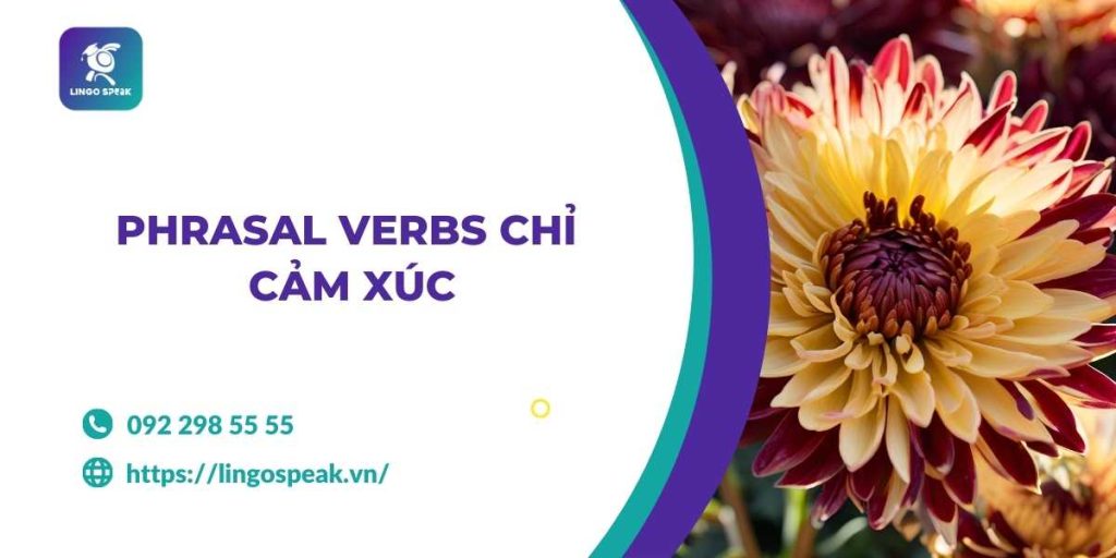 phrasal-verbs-chi-cam-xuc