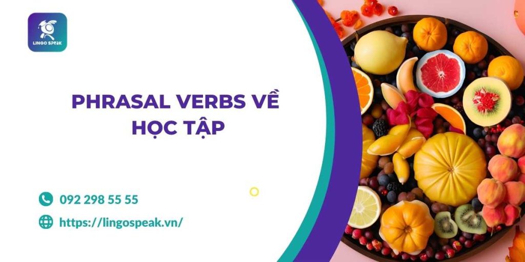 phrasal-verbs-ve-hoc-tap