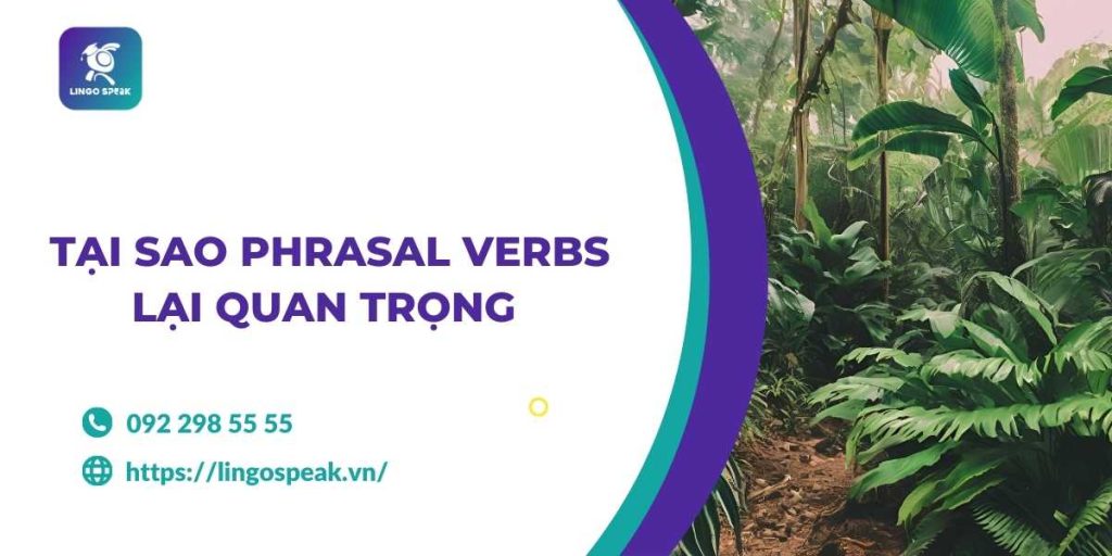 tai-sao-phrasal-verbs-lai-quan-trong