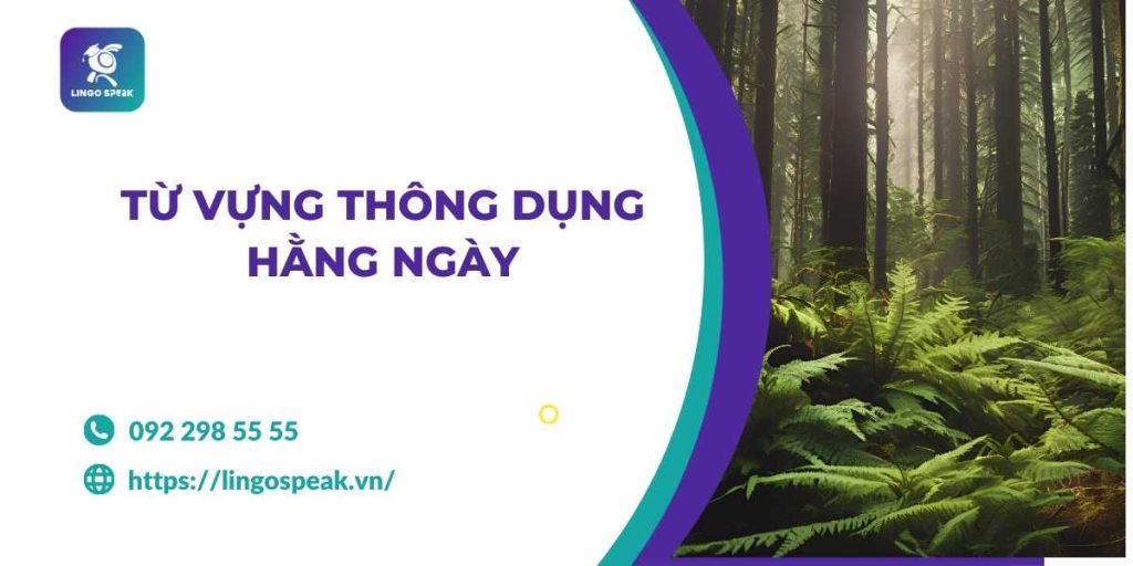 tu-vung-thong-dung-hang-ngay