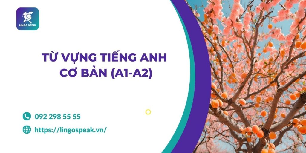 tu-vung-tieng-anh-co-ban-a1-a2