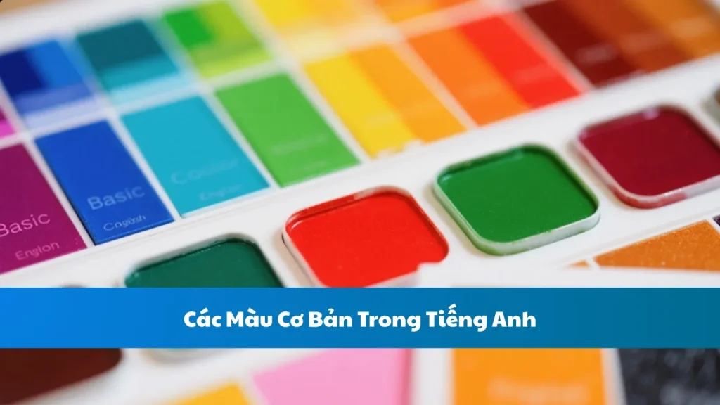 Các Màu Cơ Bản Trong Tiếng Anh